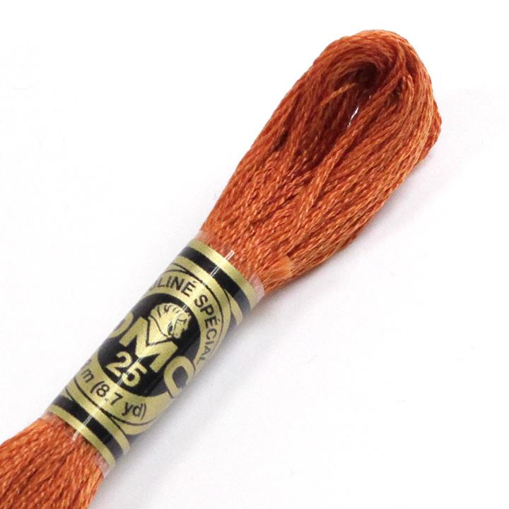 DMC Embroidery Floss No. 25 301