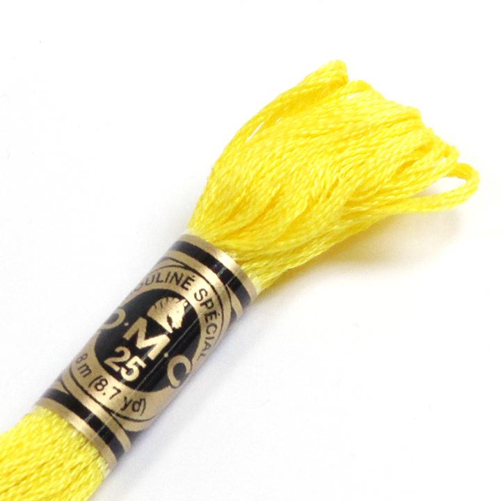 DMC Embroidery Floss No. 25 307