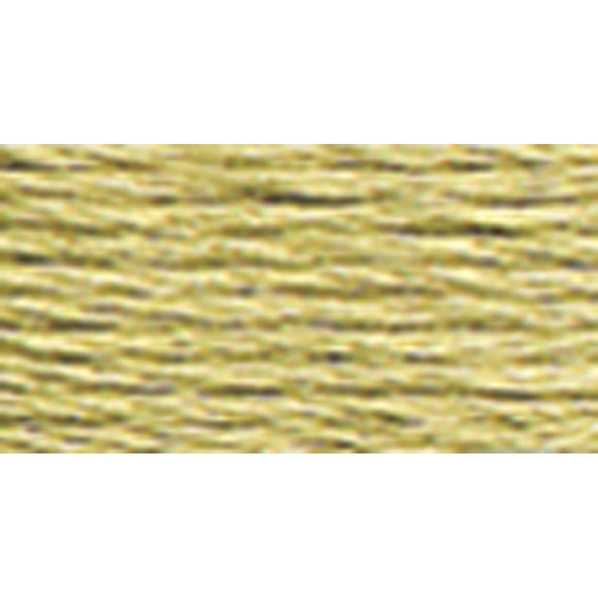 DMC Embroidery Floss No. 25 372