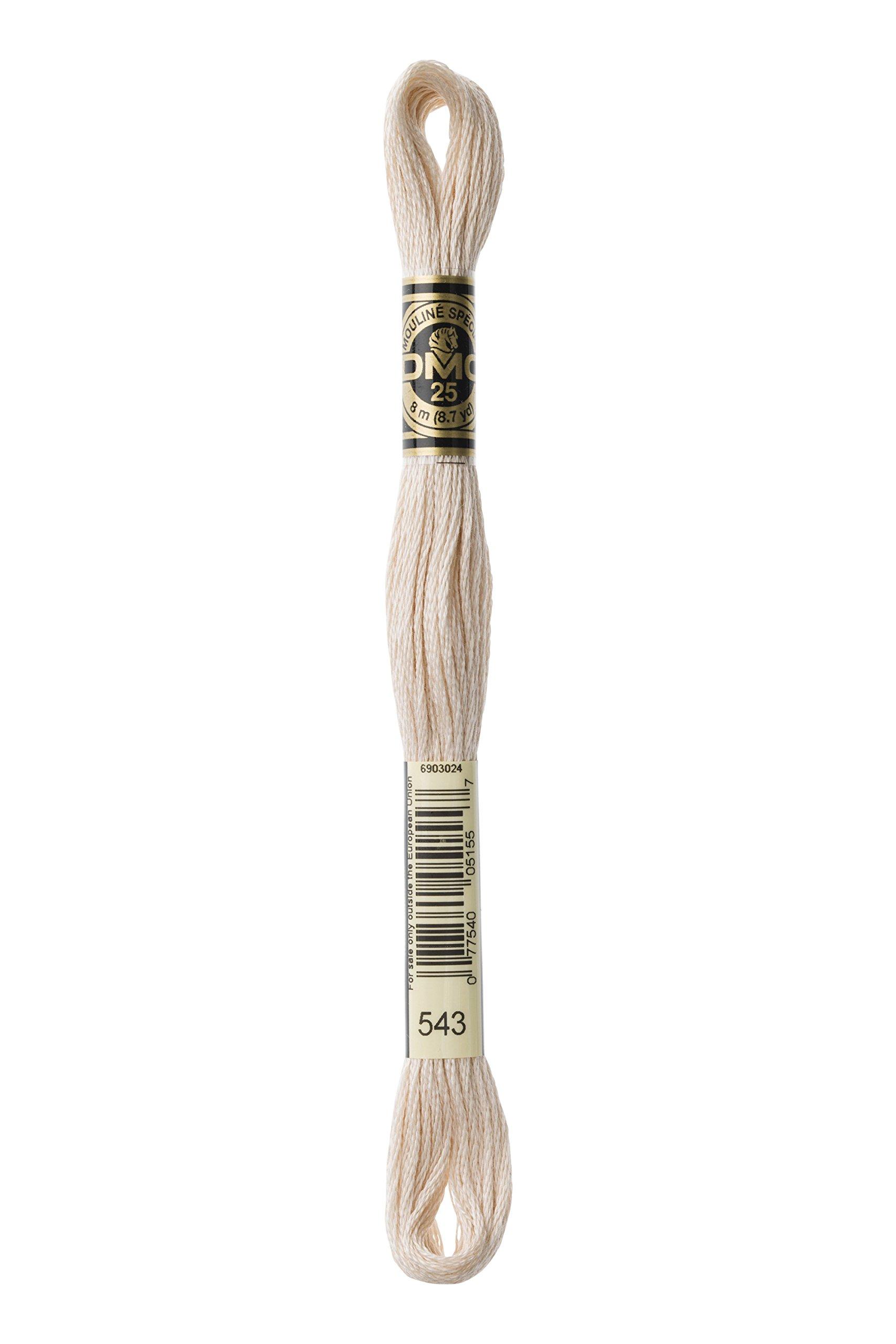DMC Embroidery Floss No. 25 543