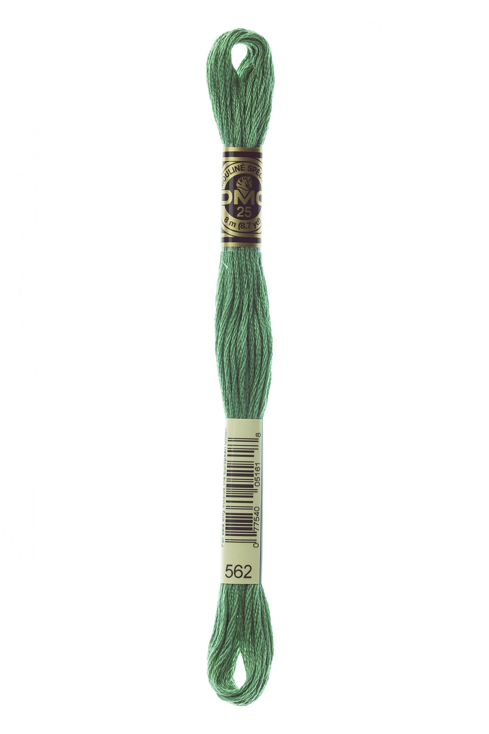 Embroidery Thread 『DMC No. 25 Embroidery Thread, Color No. 562』