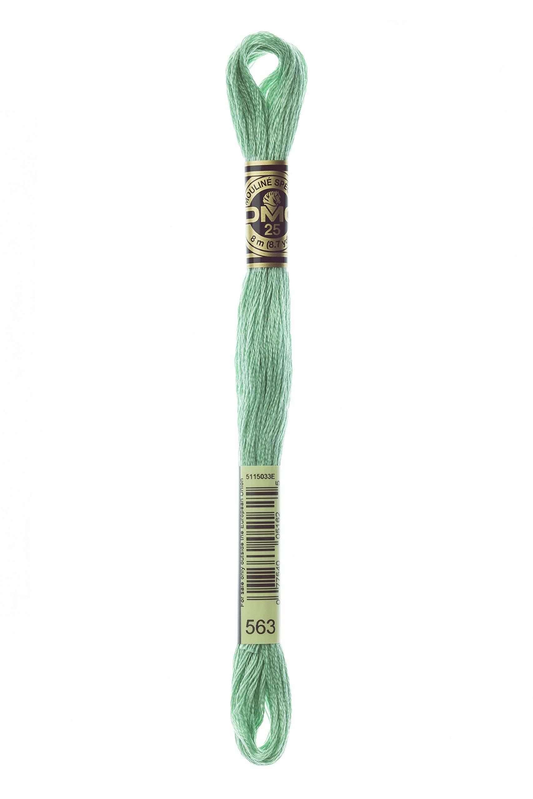 Embroidery Thread 『DMC No. 25 Embroidery Thread, Color 563』