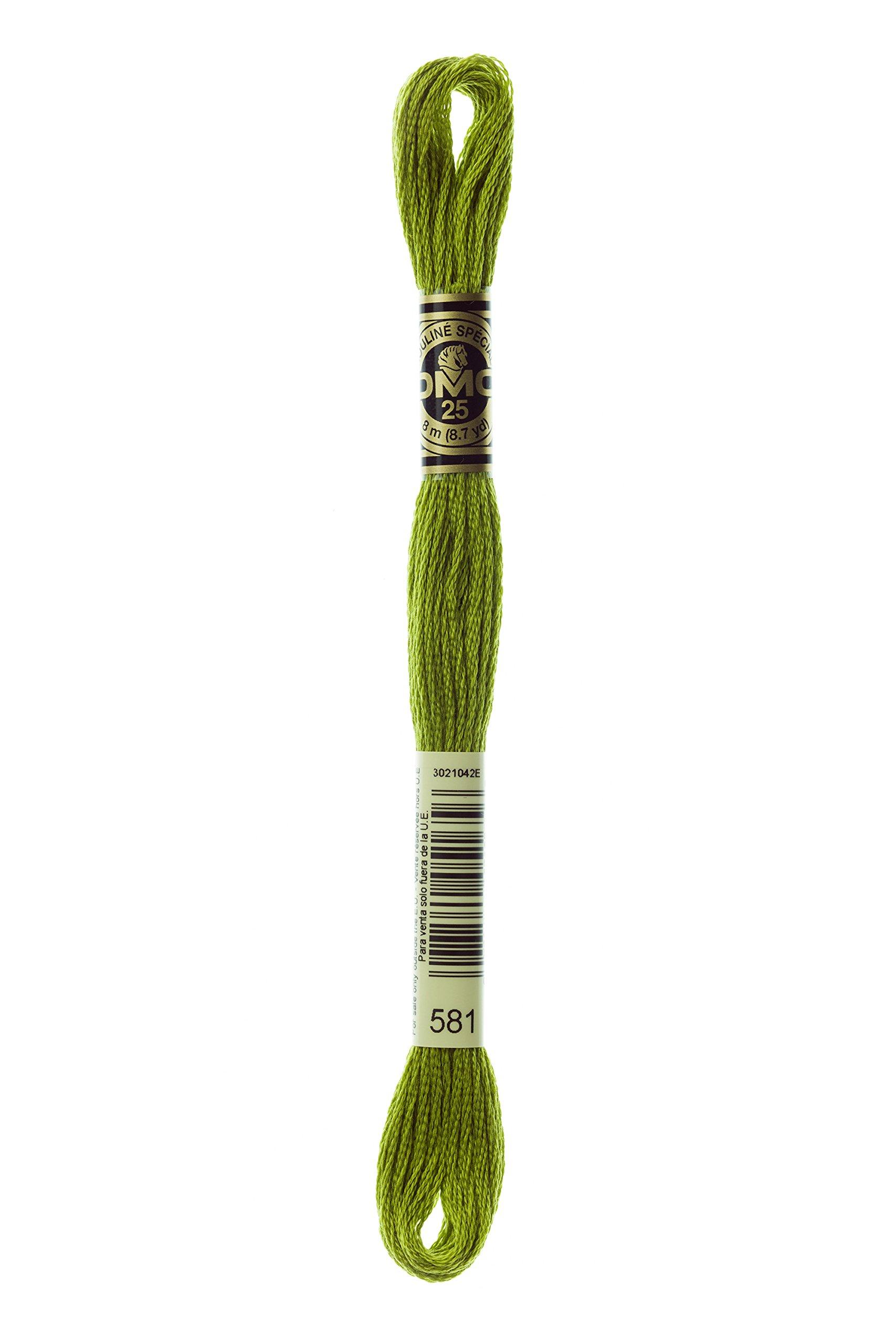 Embroidery Thread 『DMC 25-Count Embroidery Thread Color 581』
