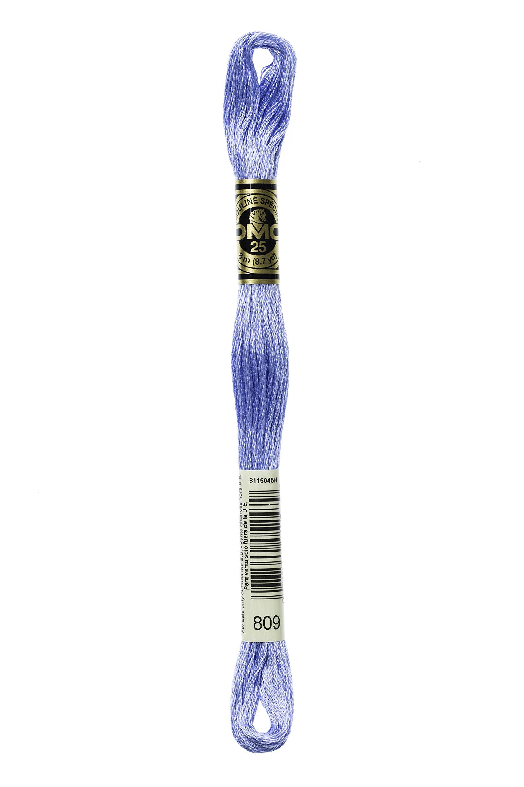 Embroidery Thread 『DMC 25-Count Embroidery Thread Color 809』