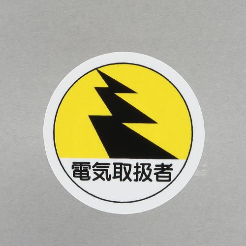 4550061811931