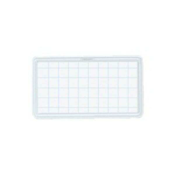 KOKUYO Name Tag Itamen Clip Dual-Use Safety Pin/Clip Type 25x50 Transparent NAH-48T