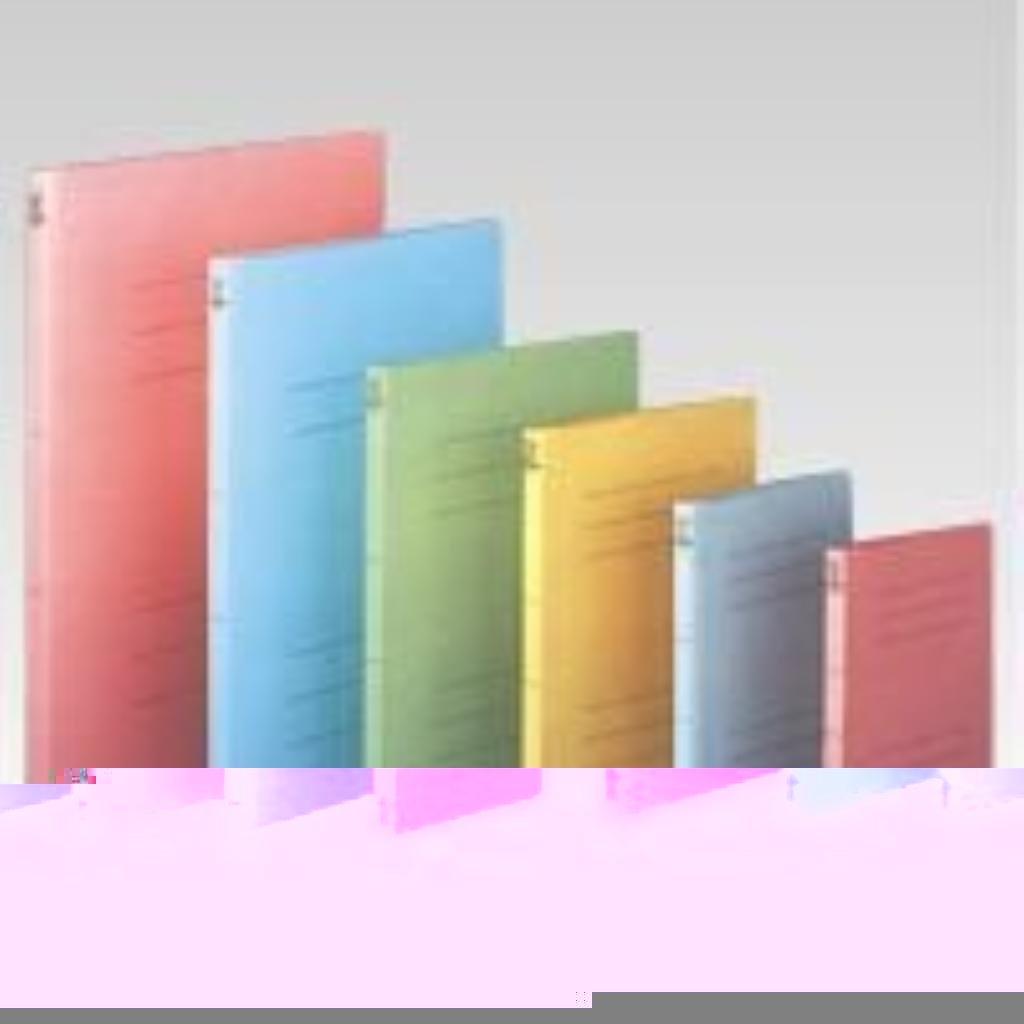 Nakabayashi Flat File J B5 Vertical Violet F-J70V