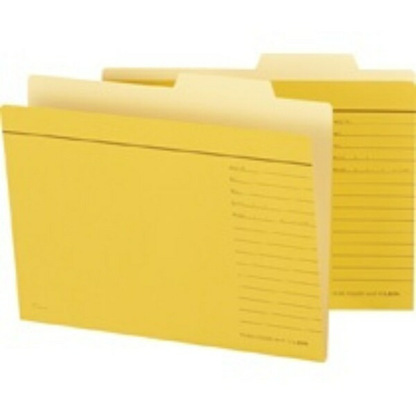 Lion Office Supplies Individual Folder A4 Size A4-IF-R 1 Book