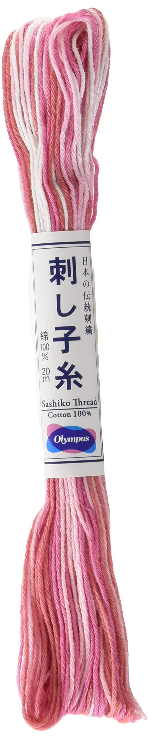 OLYMPUS Sashiko Thread Gradient 1 skein 20m OS-53