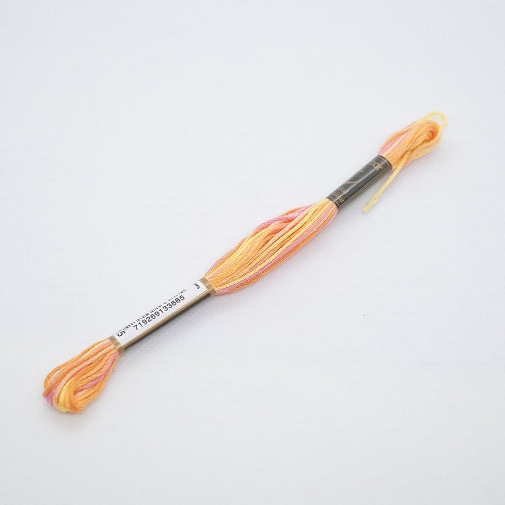 Embroidery Thread Anchor No. 25 Multi 1