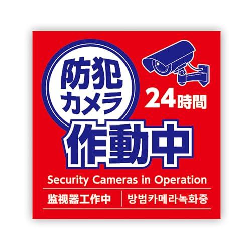 Security Camera in Operation Sticker 125×125mm