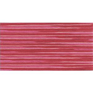 COSMO Embroidery Thread No. 25 Seasons 5002