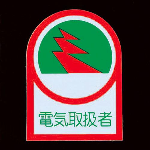 Esco Helmet Sticker 35x25mm Electrical Worker 2 Sheets EA983AN-6A