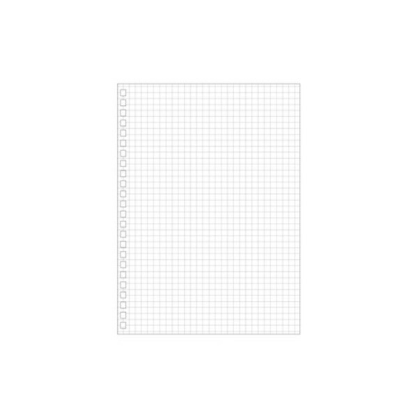 Rihitorabu Twist Ring Notebook Replacement Sheets A5 24-Hole Grid Paper 1 Set = 30 Sheets N1650S