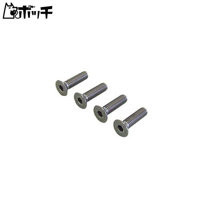 Hex Socket Screw Titanium 3×12 TB1312 Toy