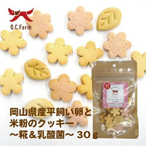 Okayama Prefecture Free-Range Egg and Rice Flour Cookies ~Koji & Lactic Acid Bacteria~ 30g