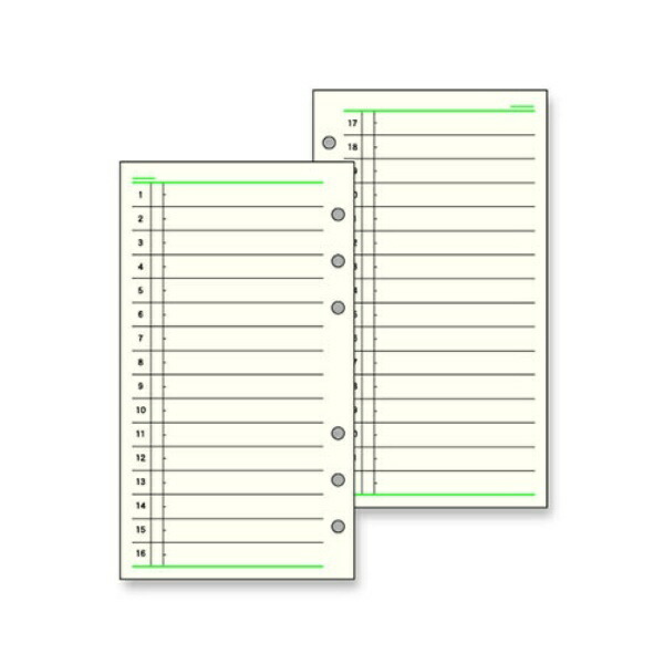 Reimei Fujii Da Vinci Refill Free Monthly B Bible Size DR275