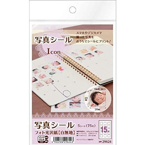 A-One Photo Sticker Glossy Photo Paper 15-Sheet Pack 5 Sheets 29624