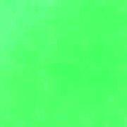 Poster Color 11ml #206