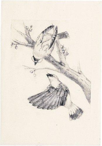 Artec Drypoint Matte Translucent Board (Single-Sided Satin Finish) 20502 Large