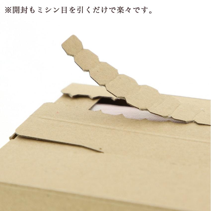 Rakuposu BOX 195-10 Kraft Paper, 3 Sheets