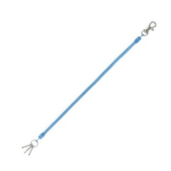 Reimei Fujii Coil Key Chain 100cm Blue GLK301A