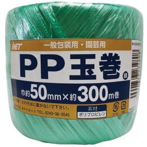 I-Net PP Ball-Wound Tape 50mm x 300m Roll Green IH-105-401G 1 Roll