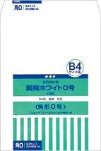 Development White Envelope No. 0