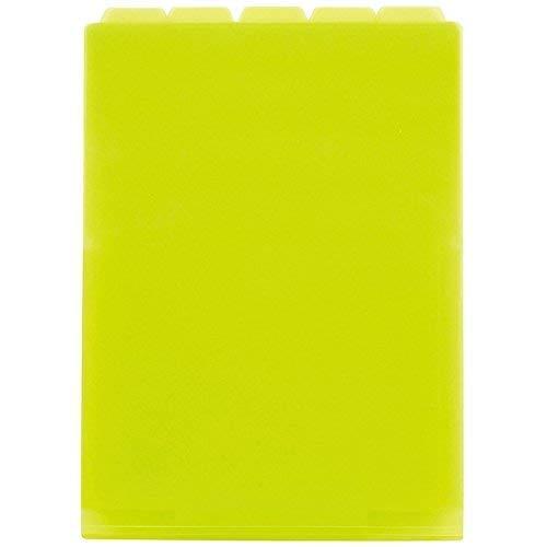 Sekisei Actif 5 Index Folder A4 Vertical Light Green ACT-915-33