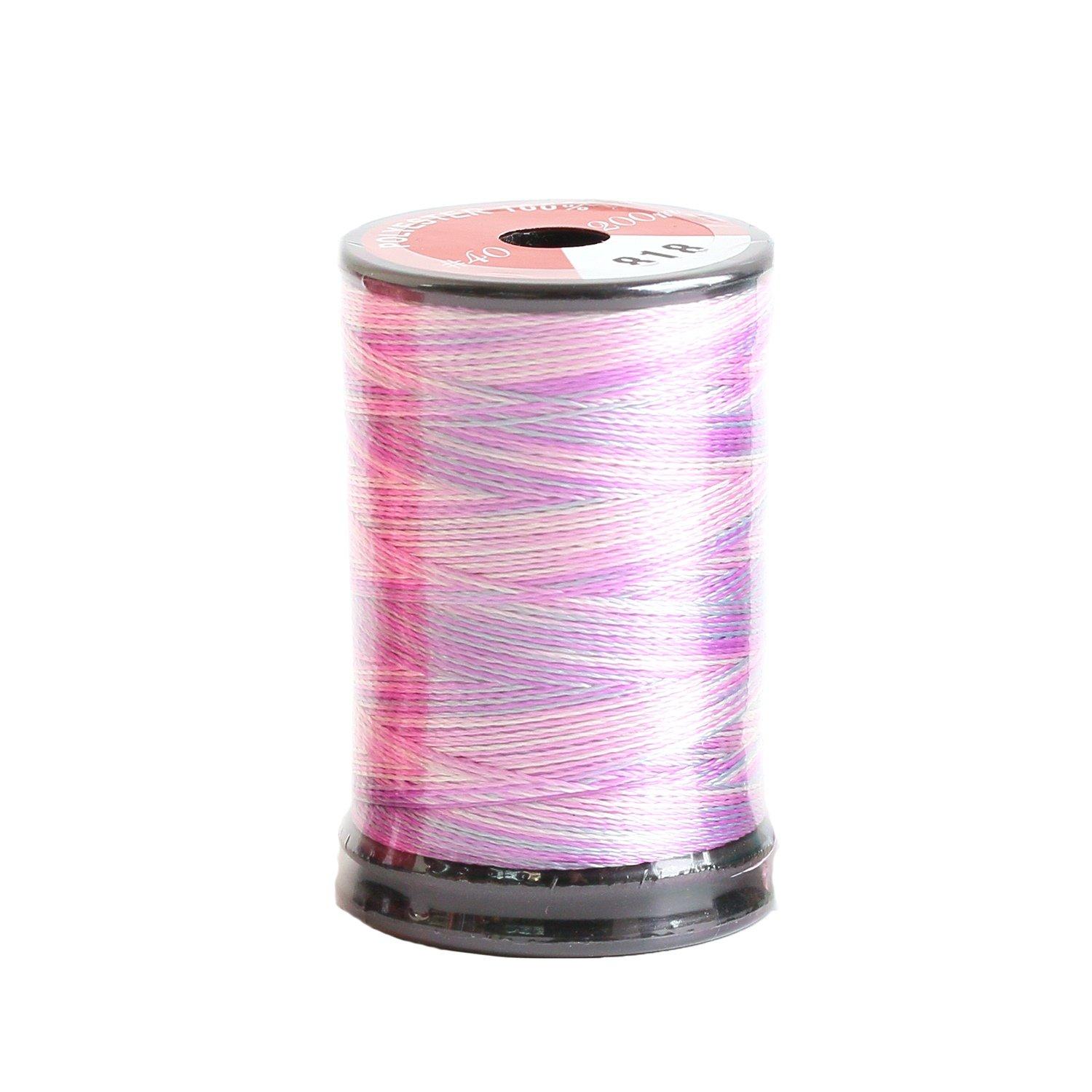 Nippon Chuko Varie Embroidery Thread 40/200m DKS-VARIE-818 Embroidery Embroidery Thread Varie