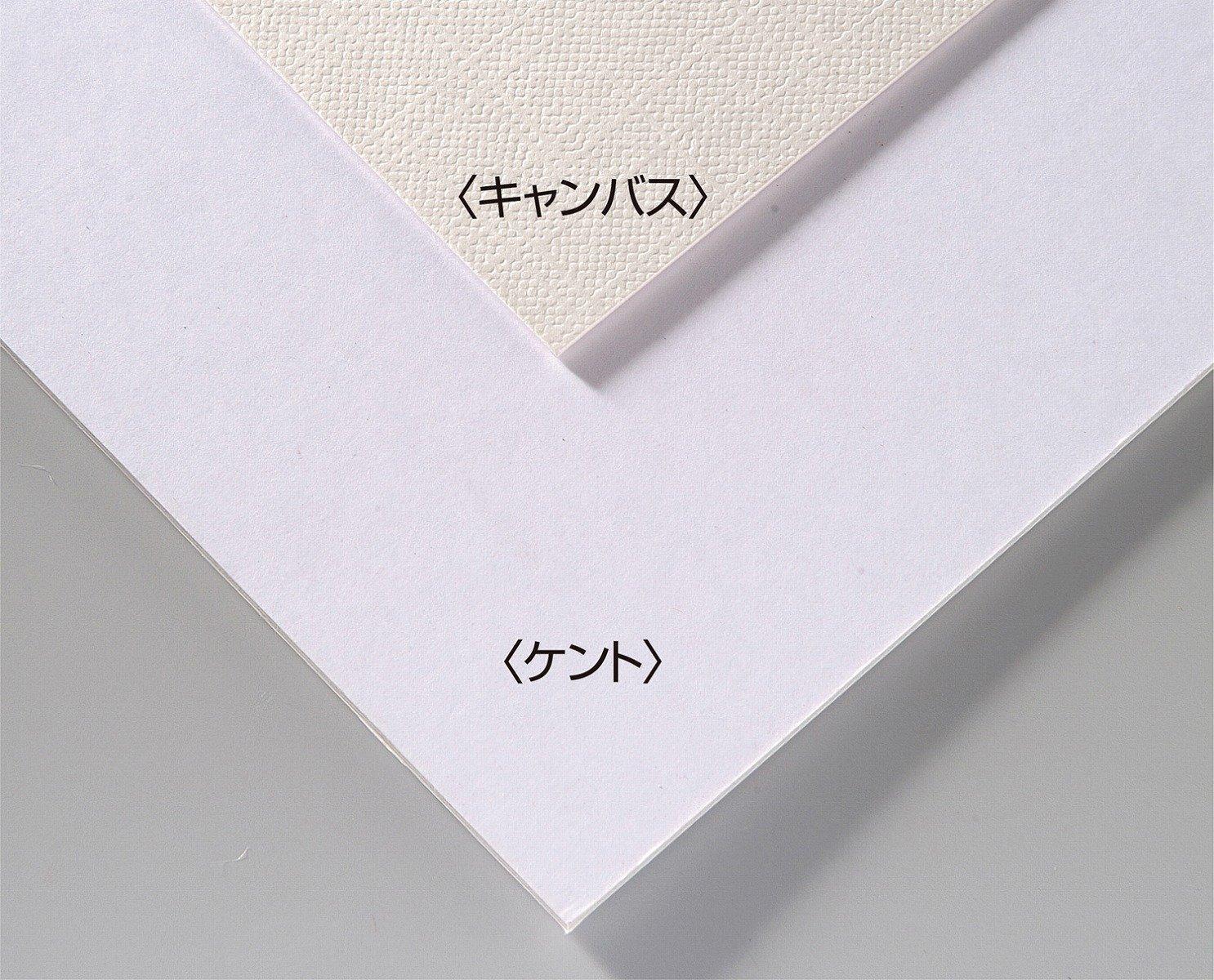 Artec A&B Original Art Board B3 Canvas 143300