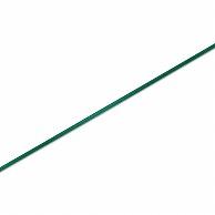 Heiko Single Satin Ribbon 3X20 X Green #1417922