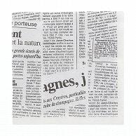HEIKO Paper Napkins 2-Ply Quad-Fold Newsletter White 50 Sheets 004528000