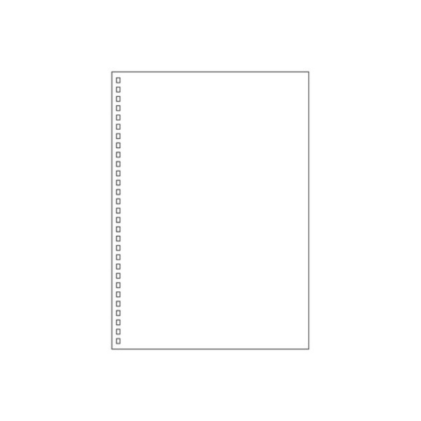 Rihitorabu Twist Note Loose-Leaf Paper B5 29-Hole Plain 30 Sheets N1600P