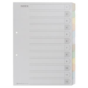 King Jim Color Index A4 12-Pocket Type 907-12Y