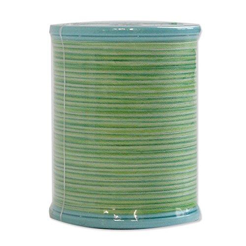 FUJIX Shappespan Standard Sewing Thread #60 200m Multi-Color Gradation col.905 [88] FK56-905