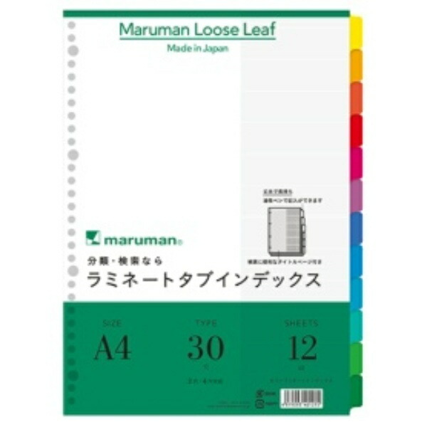 Maruman A4 Index Laminated 12-Tab LT4012
