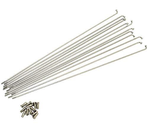 GRK#12 Stainless Steel Spokes (12 pieces) with Brass Nipples (#12×294mm)