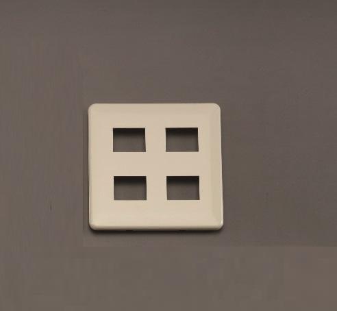 Plate (4 pieces / 2 rows)