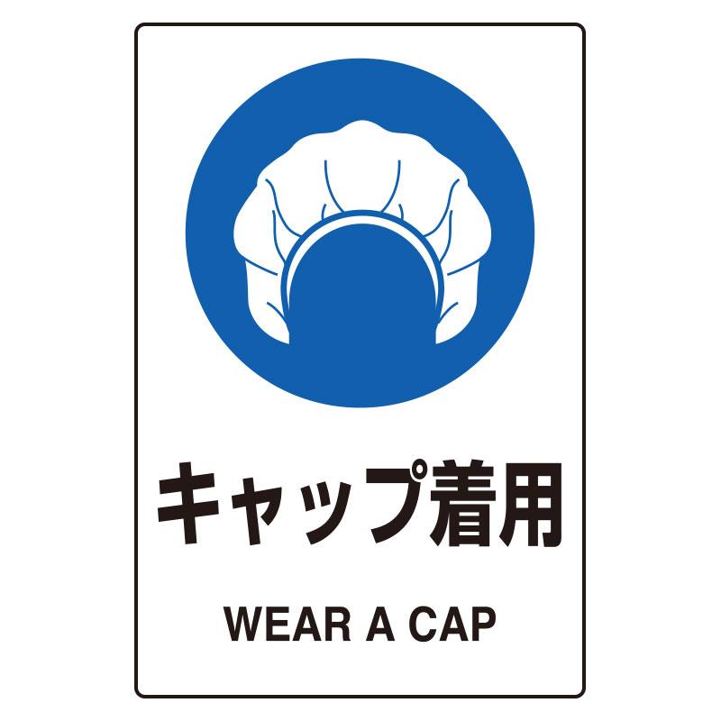 150x100mm JIS Safety Sticker (with cap)
