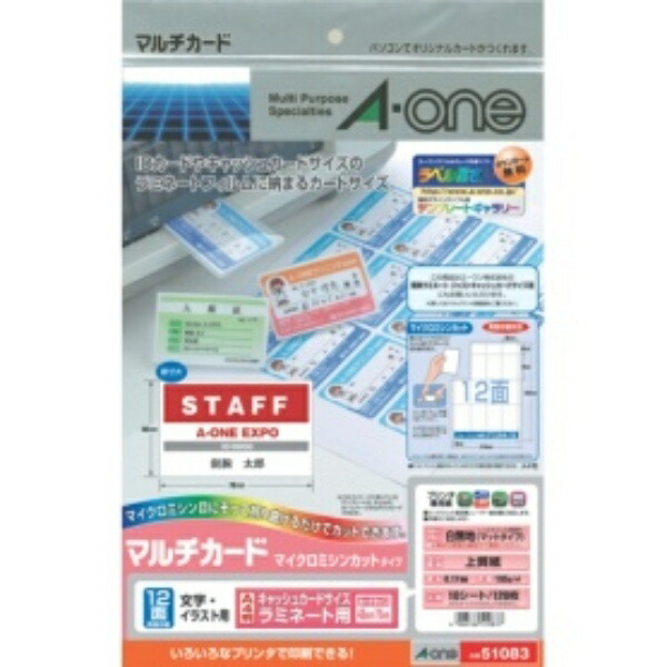 A-One Multi-Card Cash Card Size 10 Sheets 51083