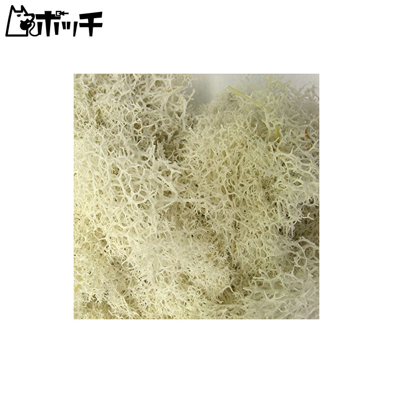 Takeda Diorama Moss White Toy