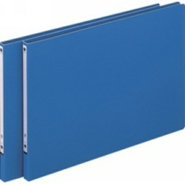 Lion Office Supplies File Z-Style Palm File No.84-B4E & Data Blue