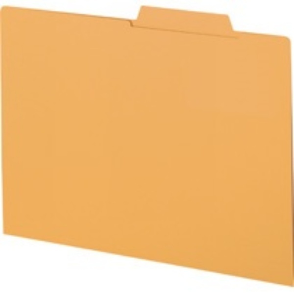 Lion Office Supplies Individual File Folders, 10-Pack, A4 Size A4-IF2-Y