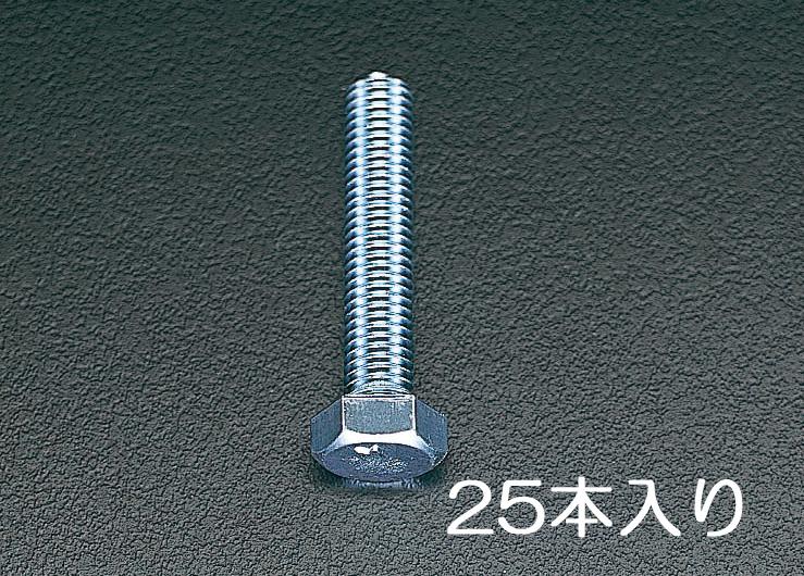 M10x25mm Hex Head Fully Threaded Bolt (Unicrome Plated / 25 pcs)