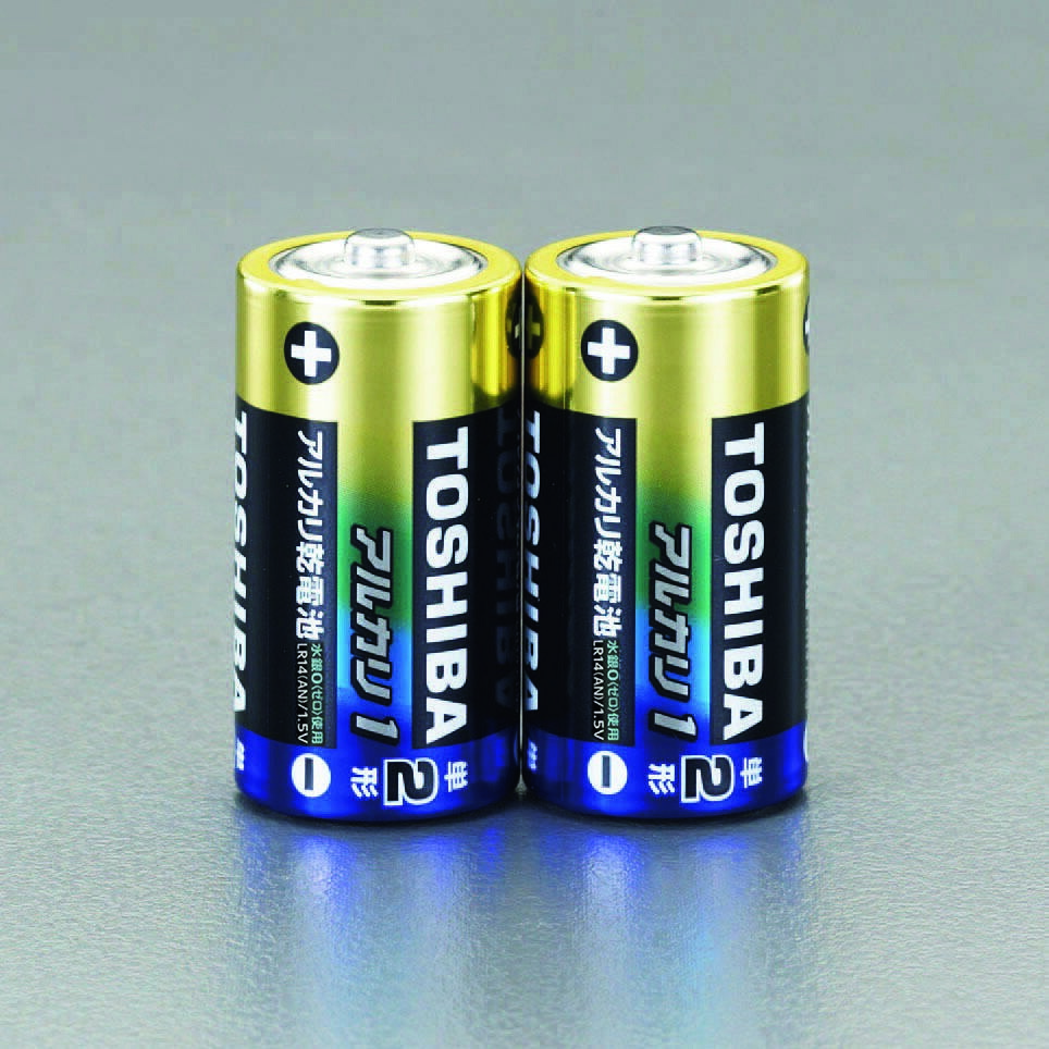 [2 AA batteries] Alkaline dry cell batteries