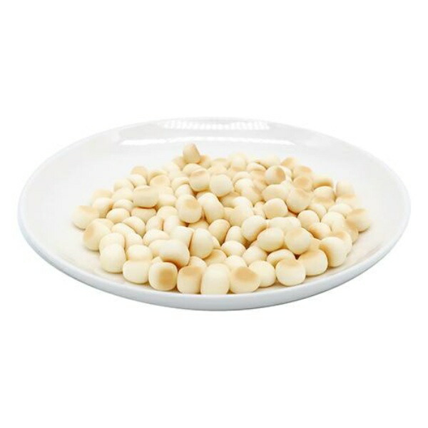 Dog Treats Made in Japan DOGTREE Calcium Bolo Mini with Probiotics 100g DOGTREE (Medium Size)