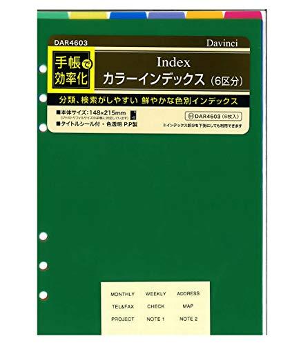 Reimei Fujii Da Vinci Notebook Refill Color Index 6 Divisions A5 Vivid Colors