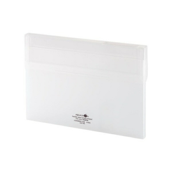 Rihitora Congress Case Document File Case A4 Slim Off-White A5035-1