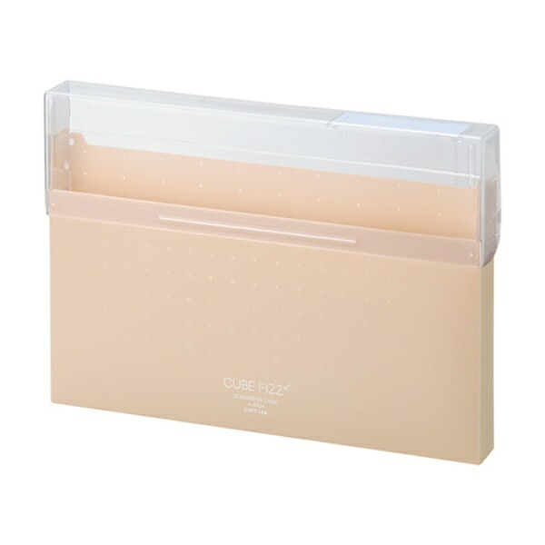 Rihitora Document File Case Congress Case A4 CUBE FIZZ Beige Opaque A6024-16